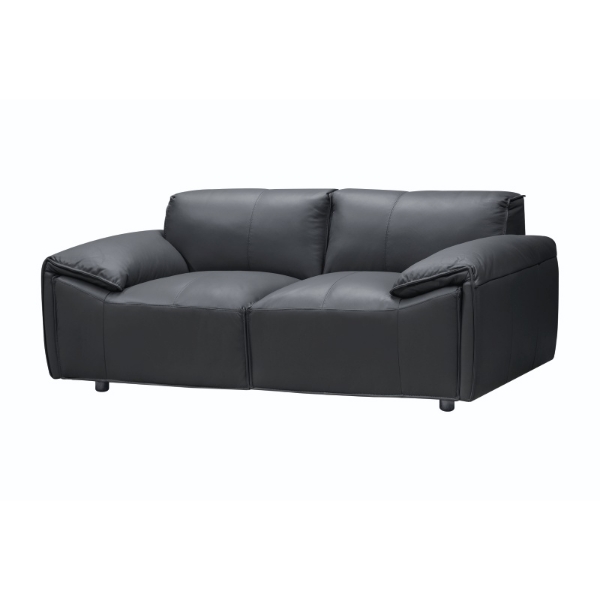 Picture of Sandton 2 Seater Couch - Black
